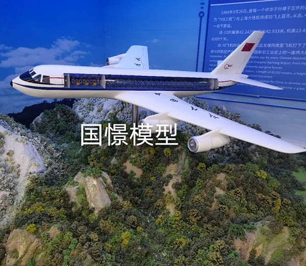 嵩县飞机模型