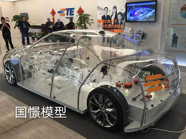 嵩县透明车模型